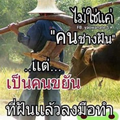 Saaw1418