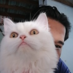Zenoz