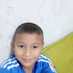 Chai2527