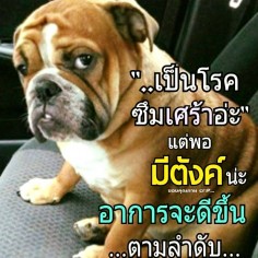 Deweii