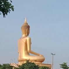garilao2559