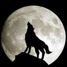 lonewolf888
