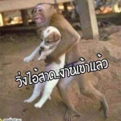 4476