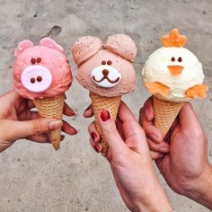 Nktomtaem56