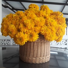 Kanthida