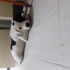 tawan09