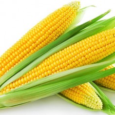1775