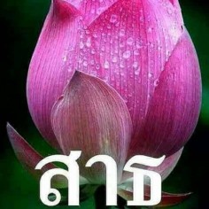 David58