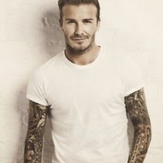 tercleverley