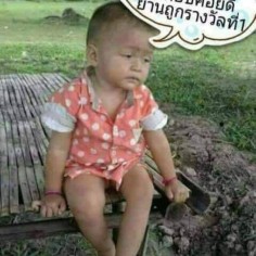 ploy2222