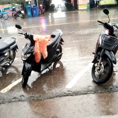Banpakjam12345