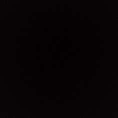 autdamiguel555