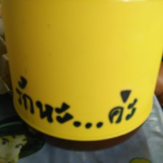 Choticha123456789