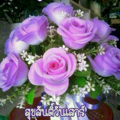 Honey789