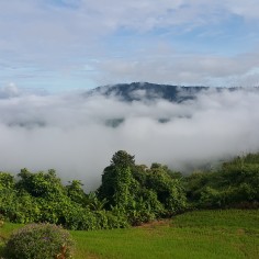 KjiraN