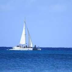 Ginger4909