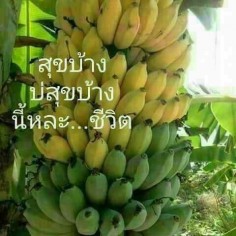 Kokoh99999
