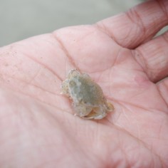 tanawa