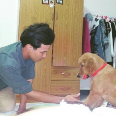 Boomer0901
