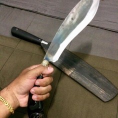 tiger08