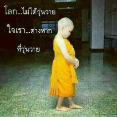 Mam2513
