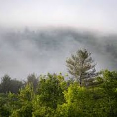 FilVolk