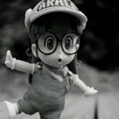 Pim88