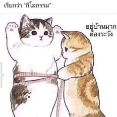 Pookanyanat2