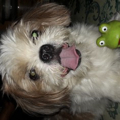 Rith
