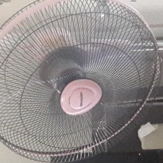 Wan992