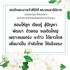 kamon7777