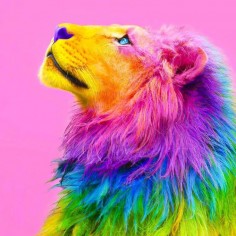 Lionking