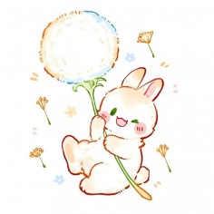 candyapt